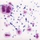 Sivellinlasite CG 1011 Frosted Berries