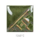 SW228 Beetle Wing ( Uutuuslasite )