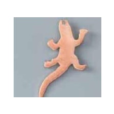 Copper Silhouette Lizard 43 x 20mm