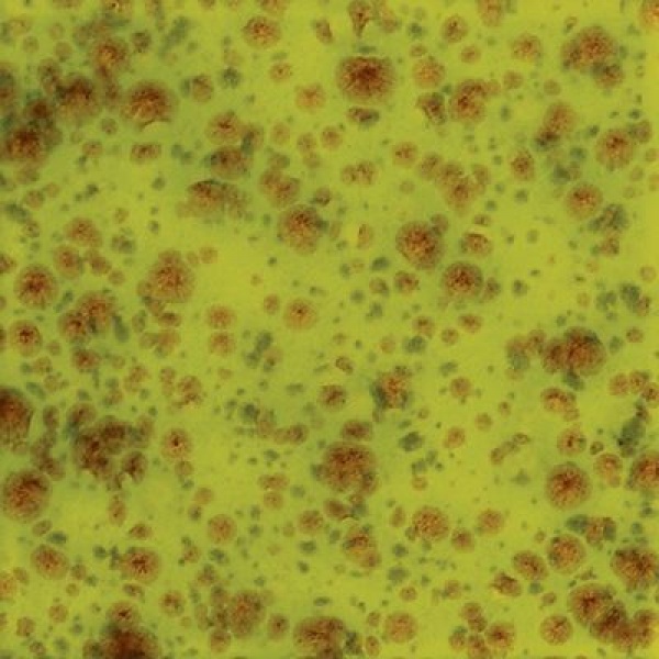 Penselglasyr CG-717 Pistachio