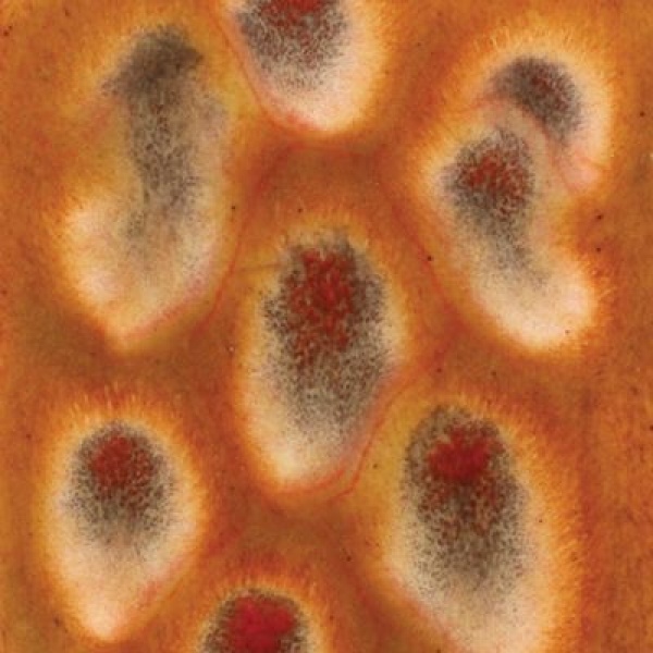 Sivellinlasite CG-972 Dragon`s Breath