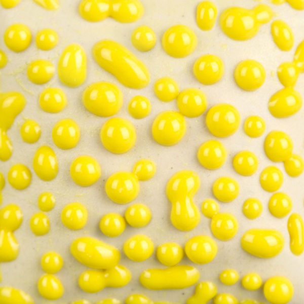 Mayco SW-441 Yellow Bead stoneware glaze  ( Uutuuslasite )