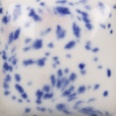 Sivellinlasite CG 1011 Frosted Berries