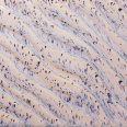 AMACO PCF-16 Aurora Breeze stoneware glaze