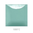 SC101 Spruce It Up