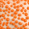 Mayco SW-442 Orange Bead stoneware glaze