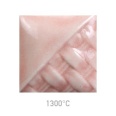 SW205 CORAL  ( Uutuuslasite )